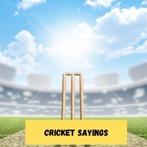 Cricket Sayings