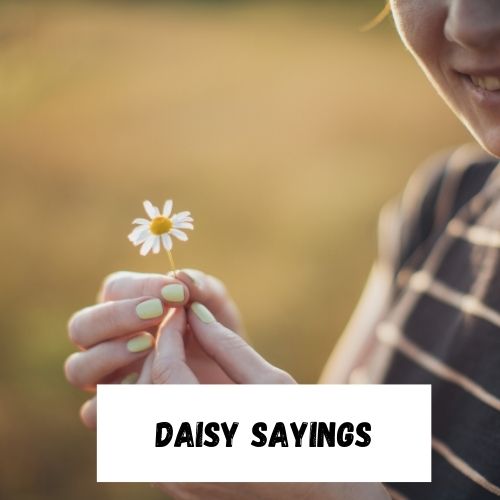 Daisy Sayings