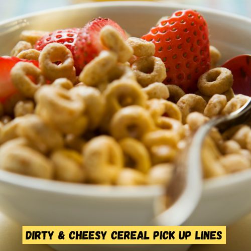 Dirty & Cheesy Cereal Pick Up Lines