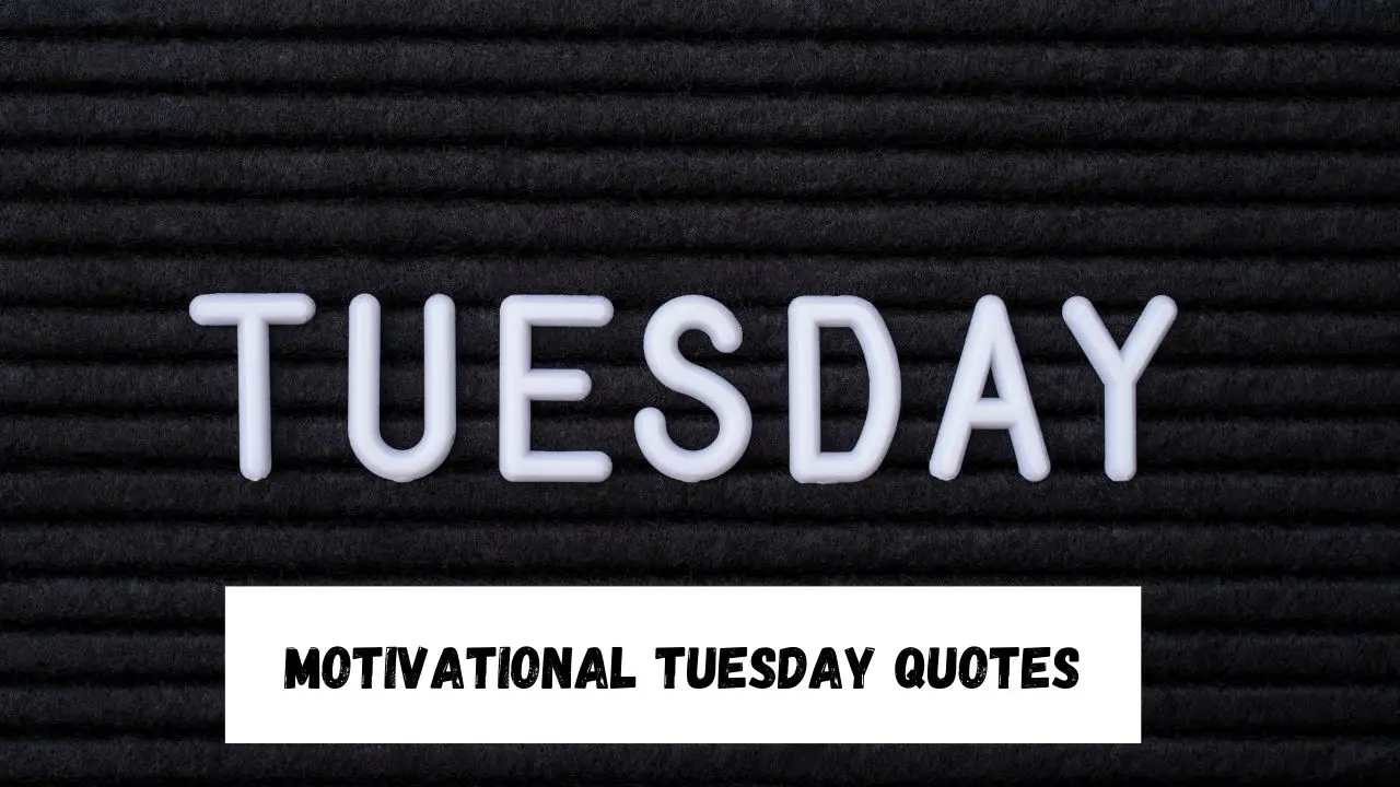 Motivational Tuesday Quotes