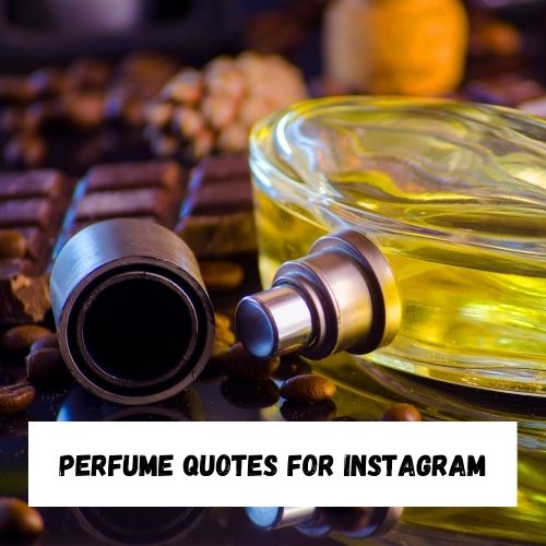 Perfume Quotes for Instagram
