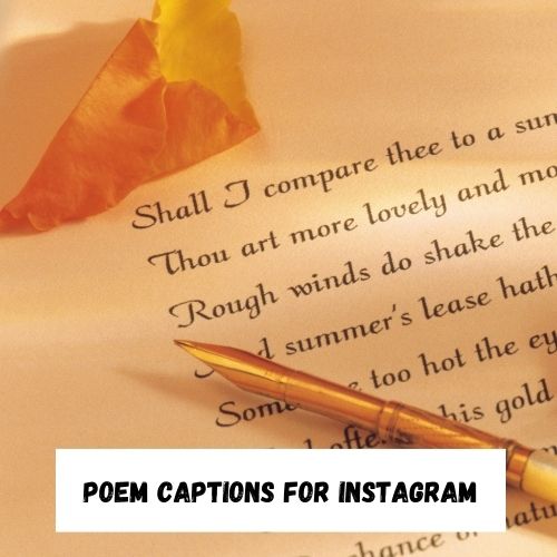Poem Captions for Instagram