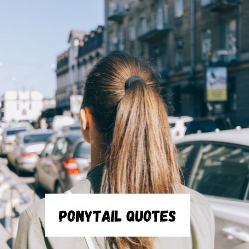 Ponytail Quotes