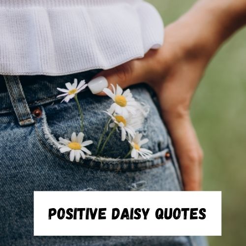 Positive Daisy Quotes