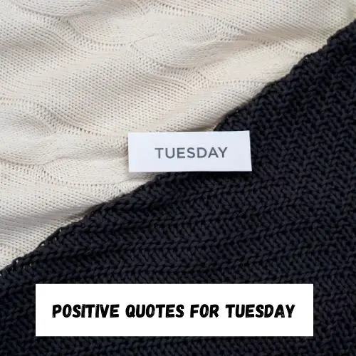 Positive Quotes for Tuesday