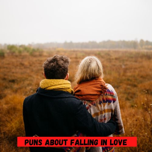 Puns about Falling in Love