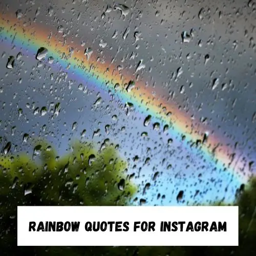 Rainbow Quotes for Instagram
