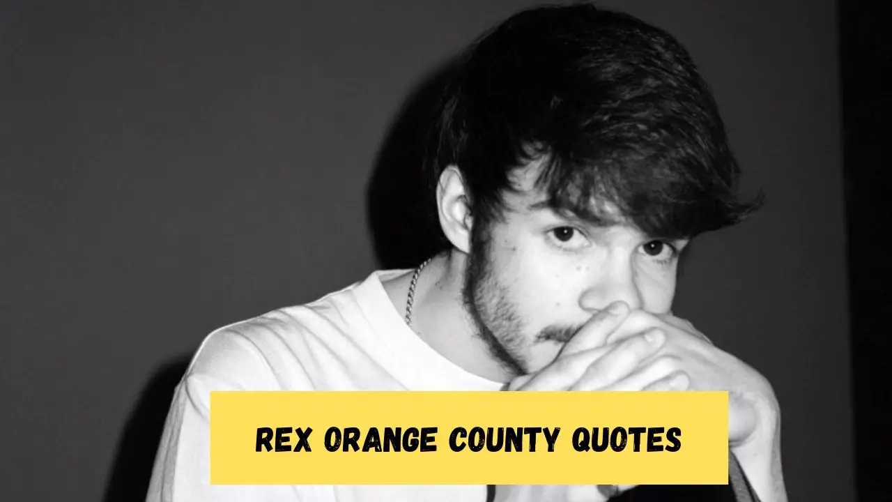 Rex Orange County Quotes