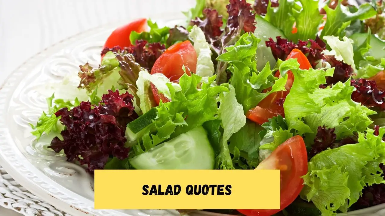 Salad Quotes