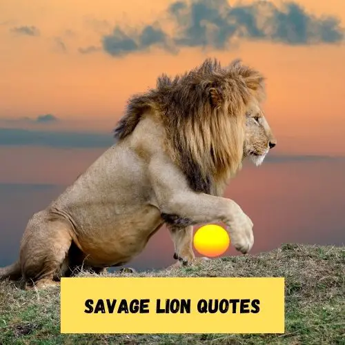 Savage Lion Quotes