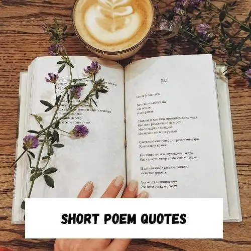 Short Poem Quotes