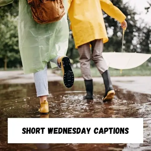 Short Wednesday Captions