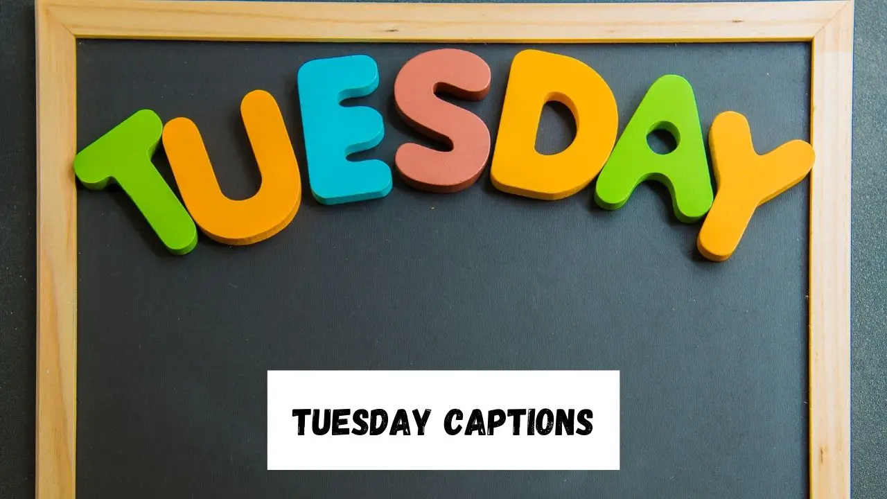 Tuesday Captions