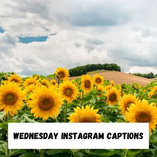 Wednesday Instagram Captions